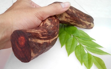 GỖ XƯA VÀ NHỮNG ĐIỀU BẠN CẦN BIẾT.