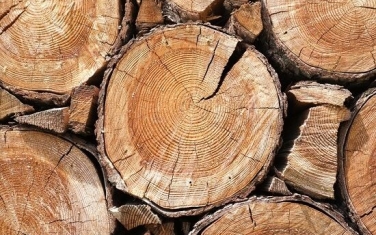 CÁC LOẠI KHUYẾT TẬT CỦA GỖ TỰ NHIÊN.